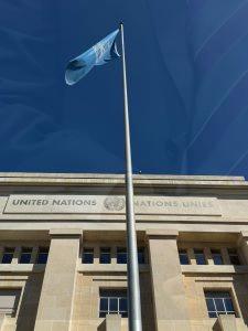 1000008259-225x300.jpg?v=1767724494