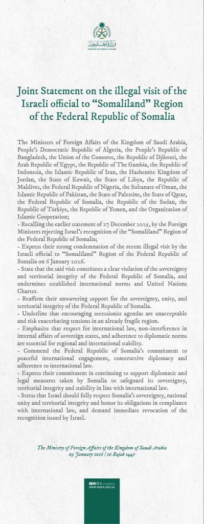 1000009383-399x1024.jpg?v=1767943176