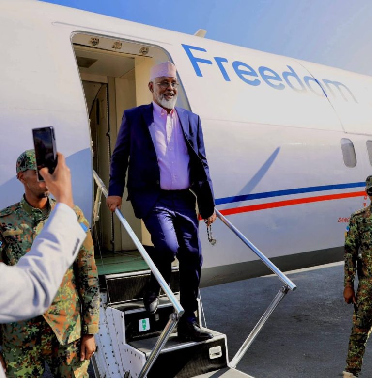 WhatsApp Image 2026-02-10 at 19.48.50