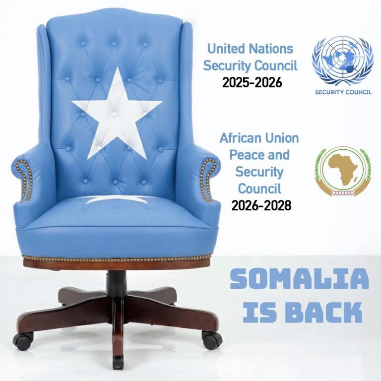 WhatsApp Image 2026-02-15 at 16.52.42